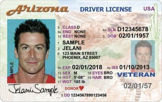 Arizona sample driver's license