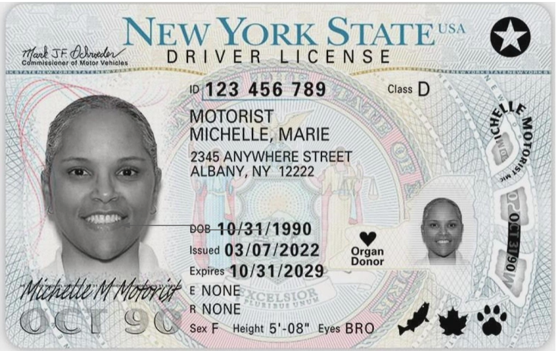 New york state sample driver's license