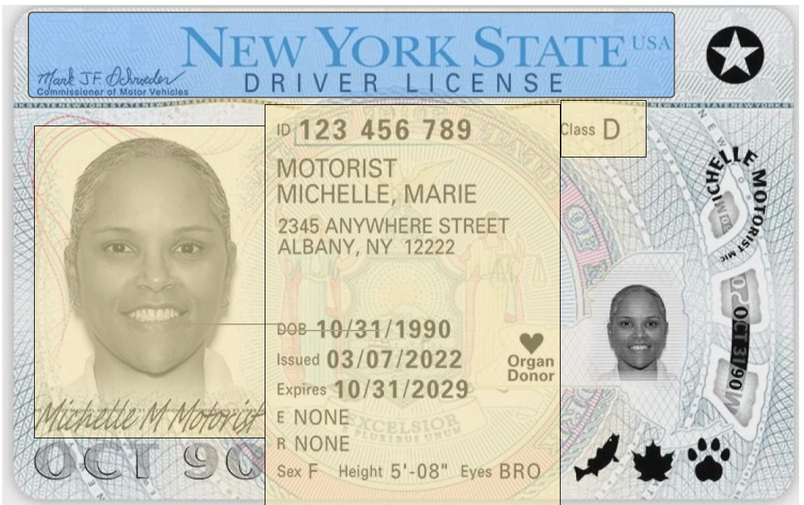 New york state driver's license with claims and metadata higlighted