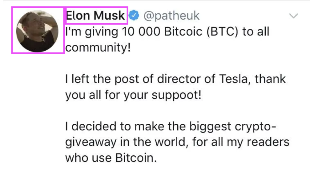 Elon Musk fake Twitter profile. The name and image correspond to Elon Musk (highlighted in pink), but the user name is incorrect and the content appears to be a scam. Yet the account has a Twitter blue verified checkmark.